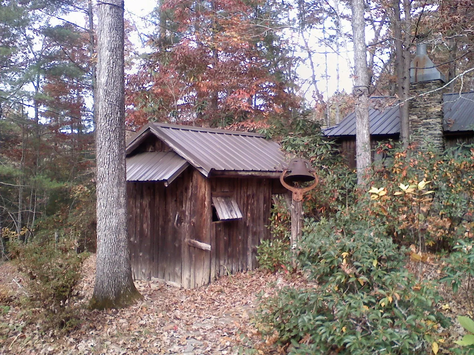 Small metal roof on a rough sawn shed in the woods in Clinton